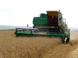 За українським зерном прийде рекордний караван суден